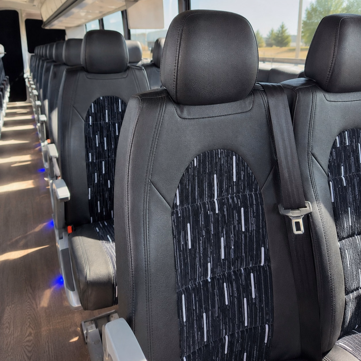 eugene charter bus interior